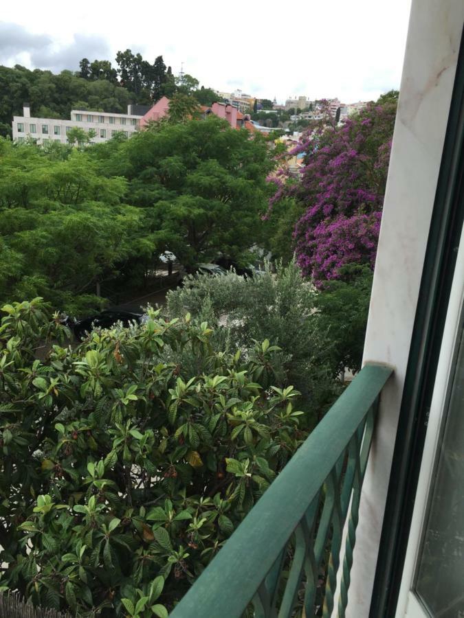Jardim Flores Luxury